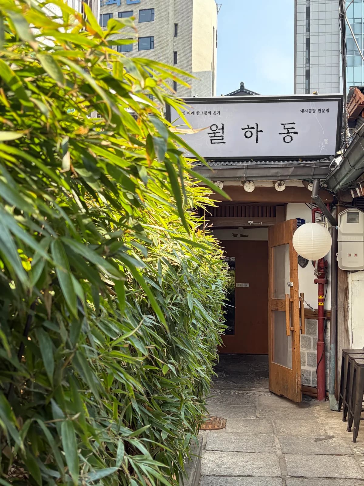 대나무가 자란 골목 안쪽의 월하동 입구와 간판